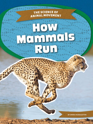 cover image of How Mammals Run